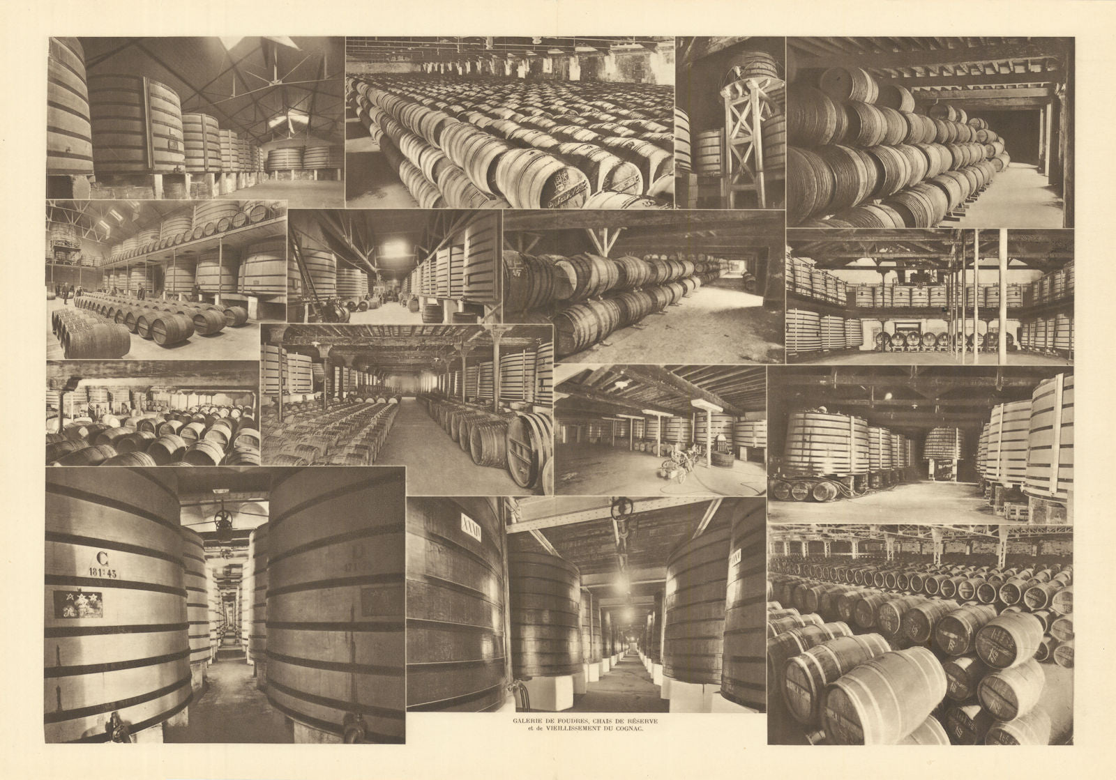 Galerie de Foudres, Chais de Réserve & de vieillissement du Cognac. Cellars 1947